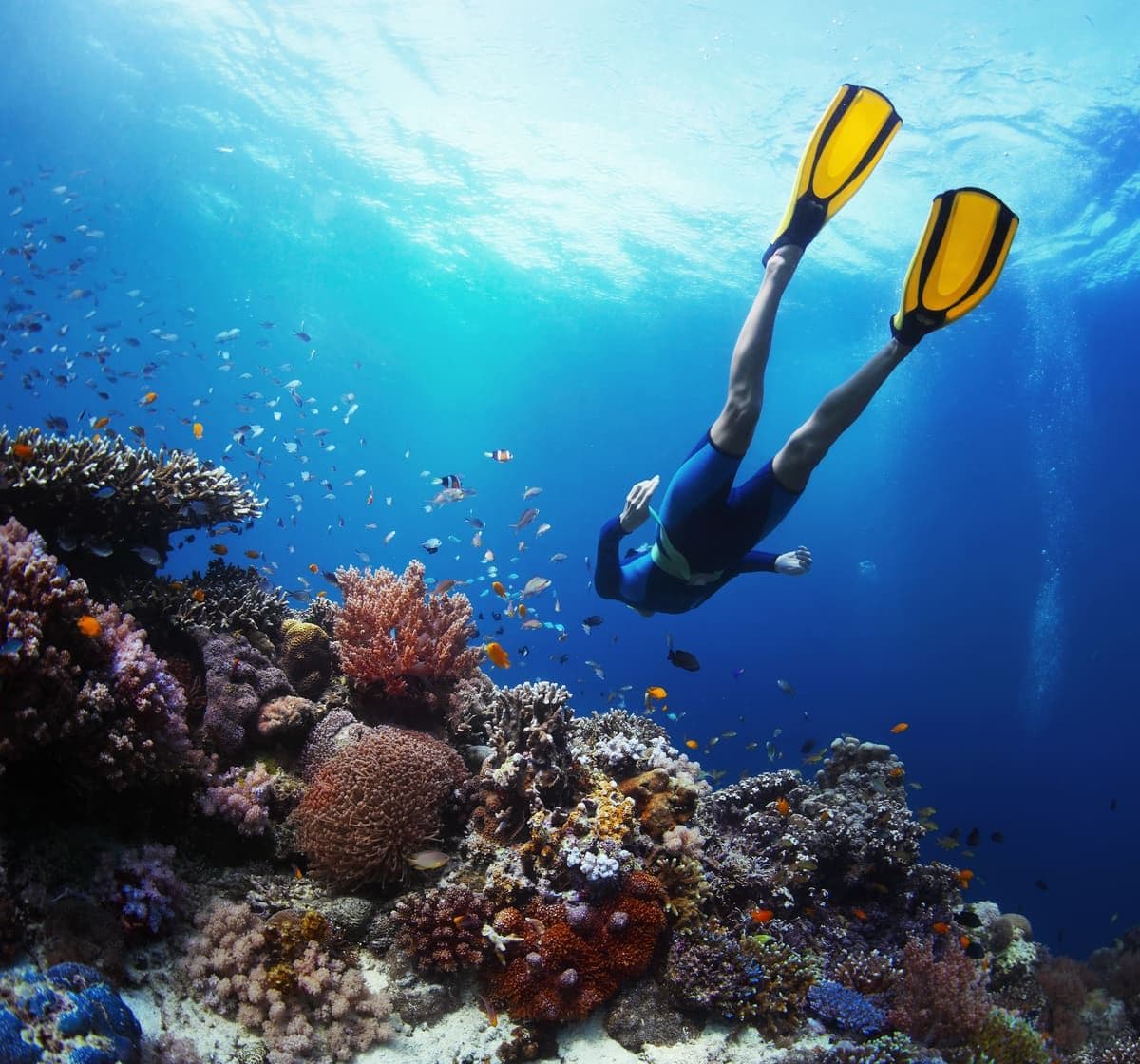 Diving