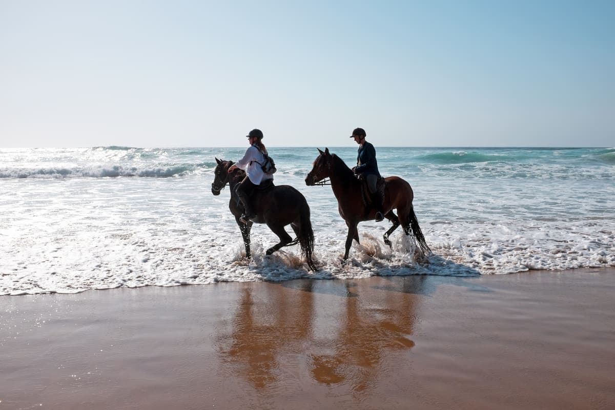 Horse Riding Tours