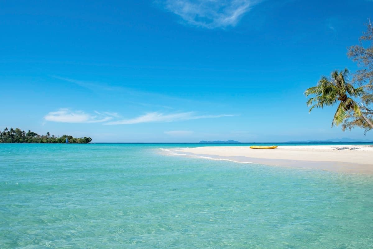 Island Tours
