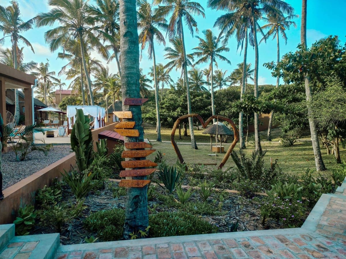 The Lodge — photo 2