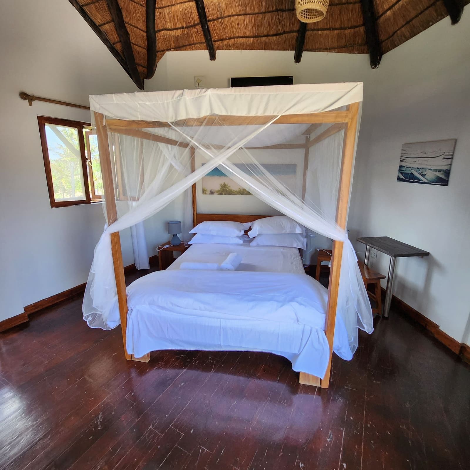 Stingray, Seahorse & Marlin — photo 5